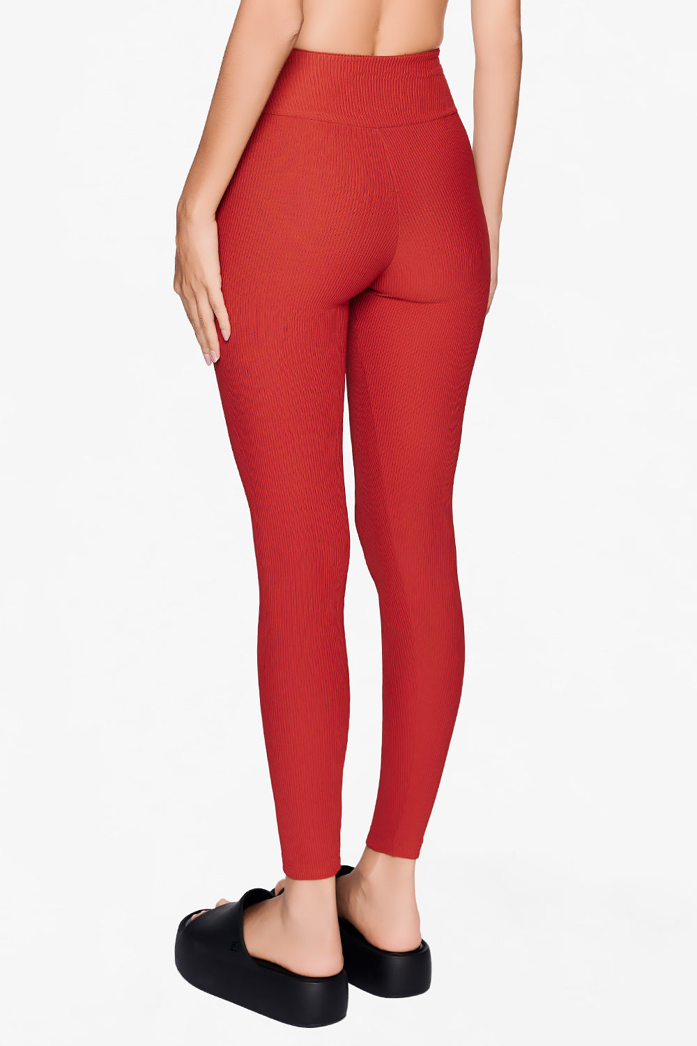 Legging Dollar GLAZED CHERRY